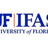 image for University of Florida