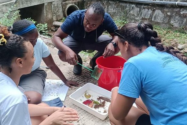 Image for IslandWatch