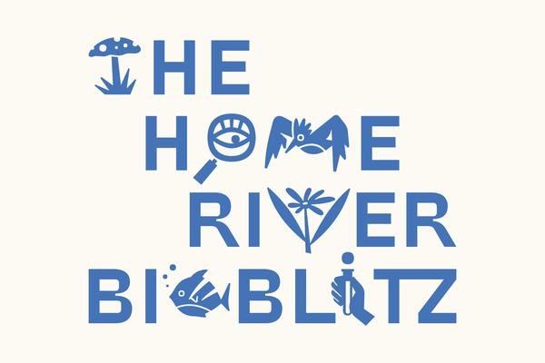 Home River Bioblitz