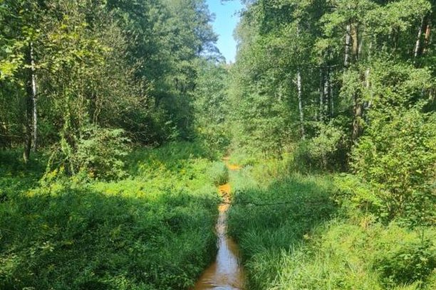 Image for WABIOLI - Water Biodiversity Life